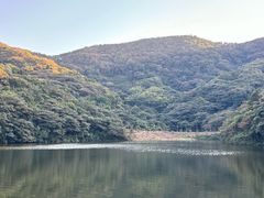 -黄埔油麻山森林公园