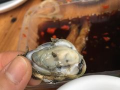 清蒸生蚝-江村四哥新鲜牛肉店(江高总店)