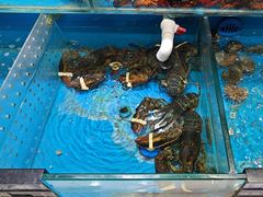 -颐千海味渔小馆(大三元街店)