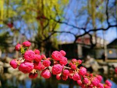-陶然亭公园