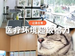 -宠福鑫动物医院(城北分院)