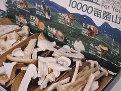 -芸山季·云南山珍菌火锅(南翔印象城MEGA店)