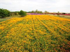 -江苏三台山国家森林公园