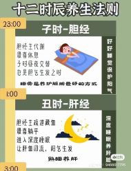 -香薇妮丝女子减肥院