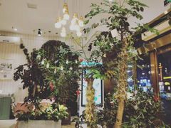 -张爱施法式西餐厅(汉街店)