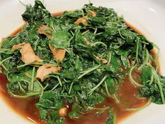蚌肉草头-道道鲜·崇明私房菜(五角场店)