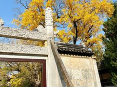 -苏州文庙(姑苏区)