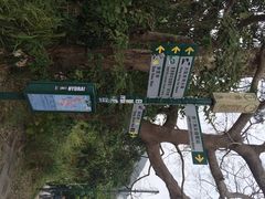 iphone_upload_pic-南丫岛