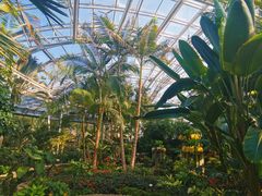 -北京植物园-展览温室