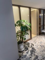 -北京漾格医疗美容医院