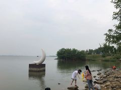 -瑶湖郊野森林公园