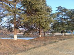 -太阳岛度假酒店