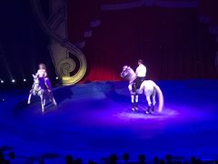 -珠海横琴长隆《卡卡虎奇遇记》