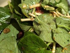 -云海肴云南菜·蒸汽石锅鱼(北京良乡华冠店)