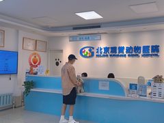 -北京观赏动物医院·24小时大型综合·猫专科·异宠专科