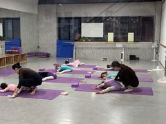 -舞蕾舞蹈(特长生校区)