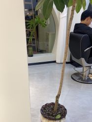 -吉艺心专业美发造型