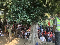 -韶山毛泽东同志故居