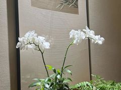 -王府茶宴(大观园总店)