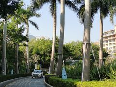 -粤菜王府·海鲜·茶市·海景餐厅(大梅沙店)