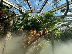 -昆明植物园