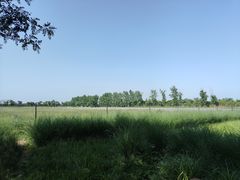 -汉长安城未央宫国家考古遗址公园