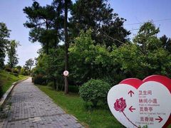 -铁山坪森林公园