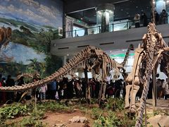 -自贡恐龙博物馆