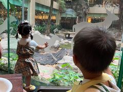 -白虎自助餐厅·真老虎·景观自助餐厅(广州长隆酒店)