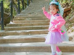 -王顺山国家森林公园