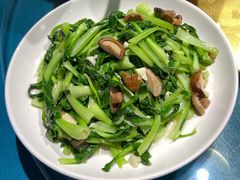 -古道村落(温汤店)