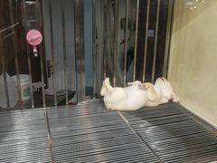 -宠物世家(仲盛世界商城店)