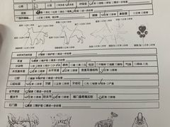 -顺强宠物诊所·狂犬免疫·夜诊·骨科(嘉定店)