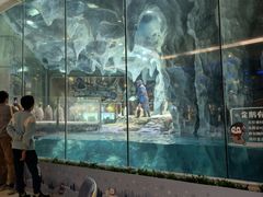 -帝企鹅自助餐厅•儿童岛•真企鹅(长隆企鹅酒店)