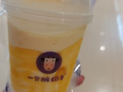 -一只酸奶牛(曲江龙湖星悦荟店)