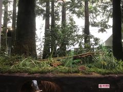 -同里国家湿地公园