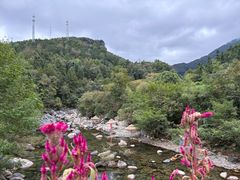 -石台牯牛降景区
