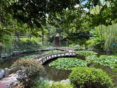 -太子山公园(园东路)