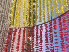 -鄂尔多斯野生动物园