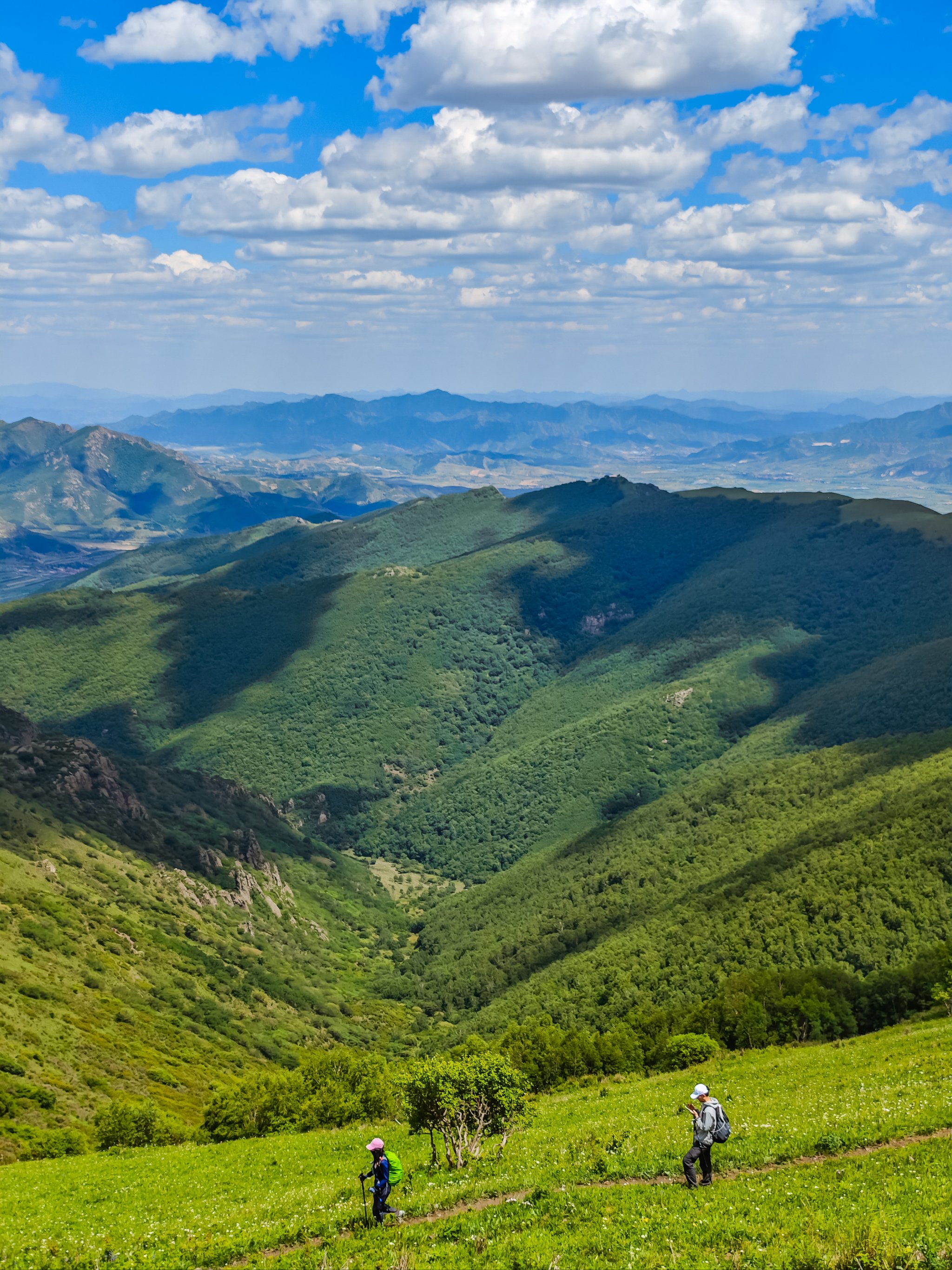 高山草甸美景图片图片