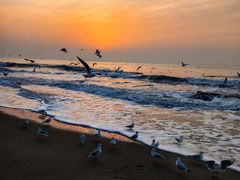 -老虎石海上公园