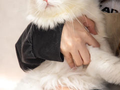 -瞄一喵猫咖(格力海岸店)