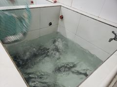 -贡椒鱼老店·雅安十大名店