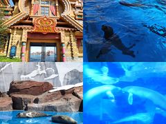 -上海海昌海洋公园