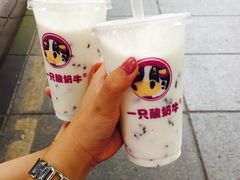 -一只酸奶牛(八一路店)