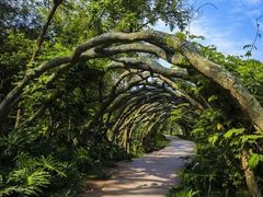 -广西壮族自治区药用植物园