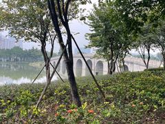 -顺峰山公园