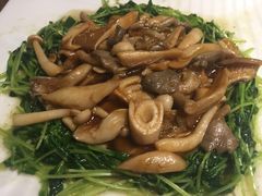 蚝油杂菌-九墅庭院餐厅(九溪徐村店)