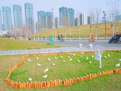 -南京眼步行桥