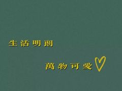-麻辣因子滩羊火锅(世和广场店)